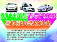 2014年濮陽龍都春季汽車展