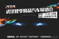 2014年武漢秋季精品汽車展