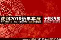 2015沈阳新年车展暨车市网第60届惠民车展