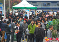 湖南汽车巡展岳阳站迎来人流高峰