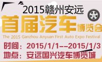 2015贛州安遠首屆元旦車展