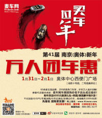 2015第41屆麥車網(wǎng)南京（奧體）新年萬人團(tuán)車惠