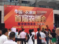 臺(tái)州2016中秋盛宴萬人購(gòu)車節(jié)華麗啟幕