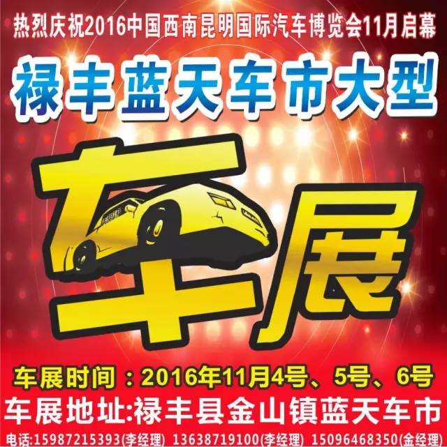 2016昆明禄丰县蓝天车市大型车展