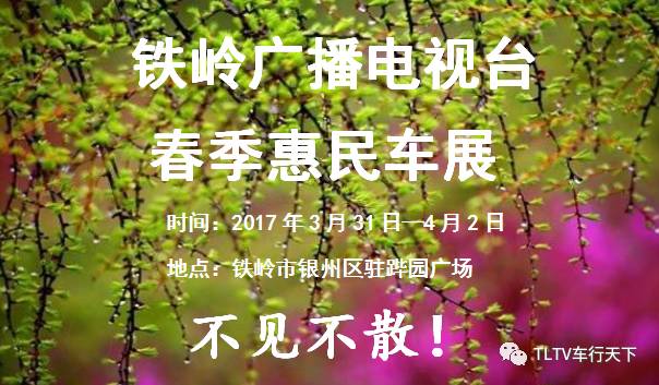 2017铁岭广播电视台春季惠民车展