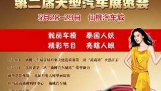 2017仙桃第二届大型汽车展览会