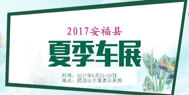 2017安福夏季大型汽车展