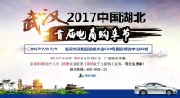 2017中国湖北（武汉）首届电商购车节