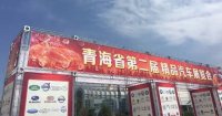 青海省第二届精品汽车展览会开幕