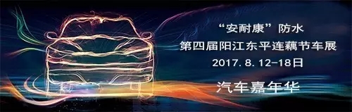2017第四届阳江东平莲藕节车展