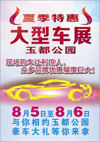 2017信宜夏季大型車展