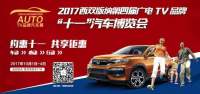 2017西双版纳第四届广电十一汽车博览会