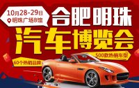 2017年合肥明珠汽車博覽會(huì)