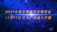 2017永城市首届汽车博览会即将开幕