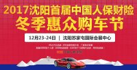 2017沈陽首屆中國人保財(cái)險(xiǎn)冬季惠眾購車節(jié)