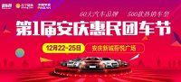 2017第一屆安慶惠民團車節(jié)