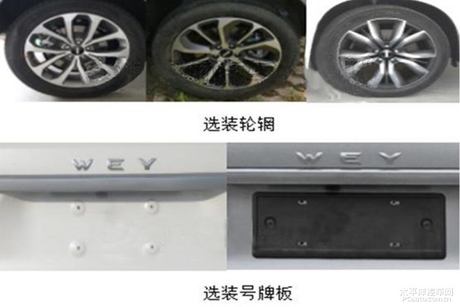WEY P8S