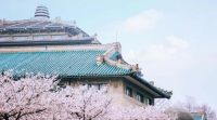 2018年3月來武漢看什么？櫻花+汽車技術展