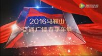 2016马鞍山交通广播春季车展