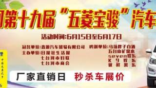 2018七台河第19届步行街车展