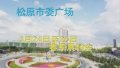 松原2017春季车展巨幅优惠等你来！