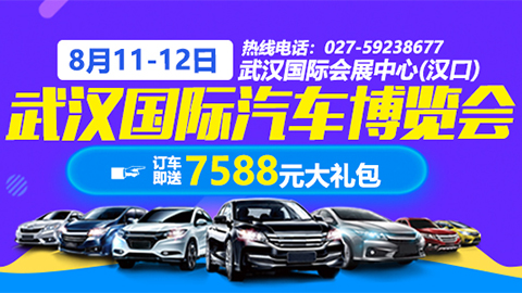 2018武汉国际汽车博览会（8月）