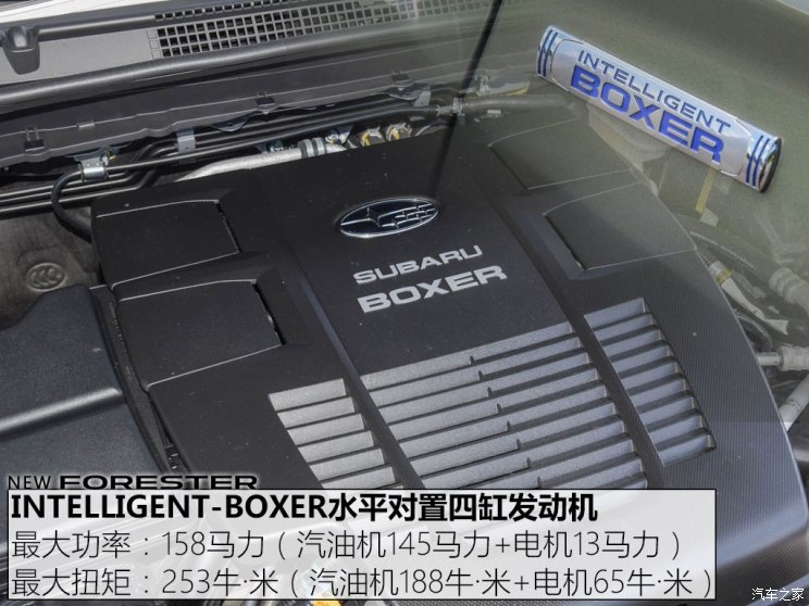 斯巴鲁 森林人 2019款 基本型