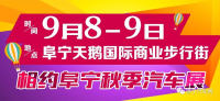 2018鹽城阜寧秋季車展