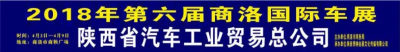 2018年第六届商洛国际车展活动落幕