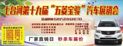 七台河第19届步行街车展今日17点至19点特卖会