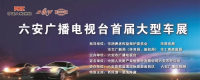 2018六安車展即將拉開帷幕 沒有大福利，哪敢驚動您？