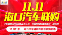 2018?？?1.11汽車聯(lián)購會