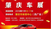 2018肇慶體育中心11.11車展