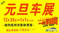 2019撫州元旦車展