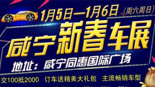 2019咸宁新春车展