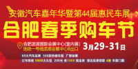 2019安徽汽車嘉年華暨第44屆惠民車展