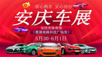 2020安庆第十一届惠民购车节