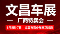 2020文昌车展厂商特卖会