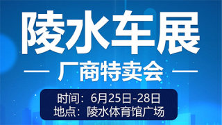 2020陵水车展厂商特卖会