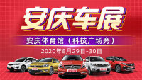 2020安庆第十二届惠民购车节