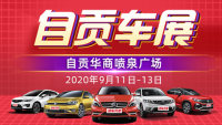 2020第十届自贡惠民车展