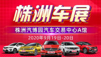 2020第十九届株洲惠民团车节