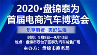 2020盤錦首屆電商汽車博覽會