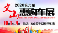 2020文山第六屆國(guó)慶惠購車展