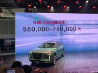 2020北京车展：红旗E-HS9预售55.00万起