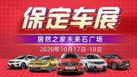 2020保定金秋十月惠民團(tuán)車節(jié)