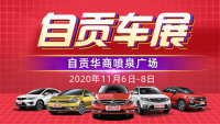 2020第十一届自贡惠民车展