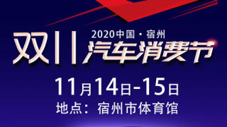 2020宿州双十一汽车消费节