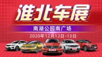 2020第十三屆淮北惠民團(tuán)車節(jié)