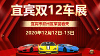 2020宜賓雙12購車節(jié)